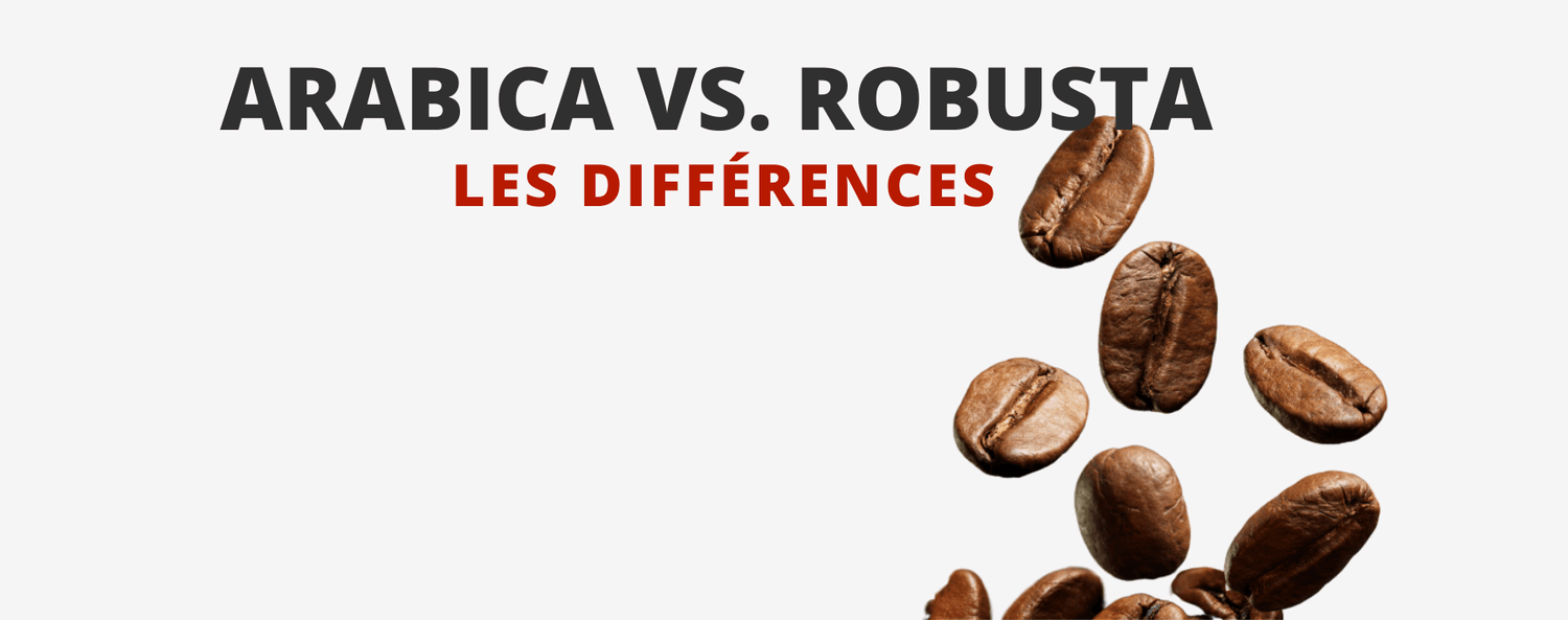 Arabica Robusta Différences