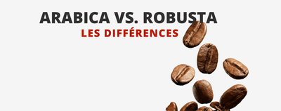 Arabica, Robusta, quelles différences ?