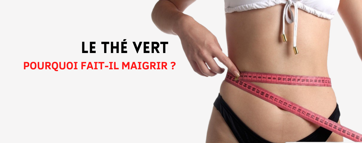 Pourquoi le thé vert fait maigrir